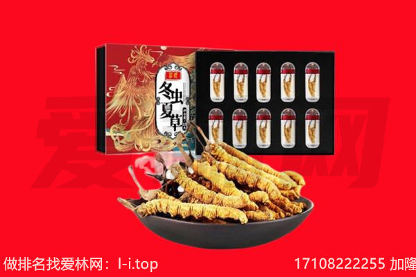 昌都市回收虫草.jpg